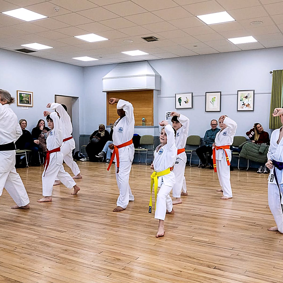 Kazoku Shotokan Karate