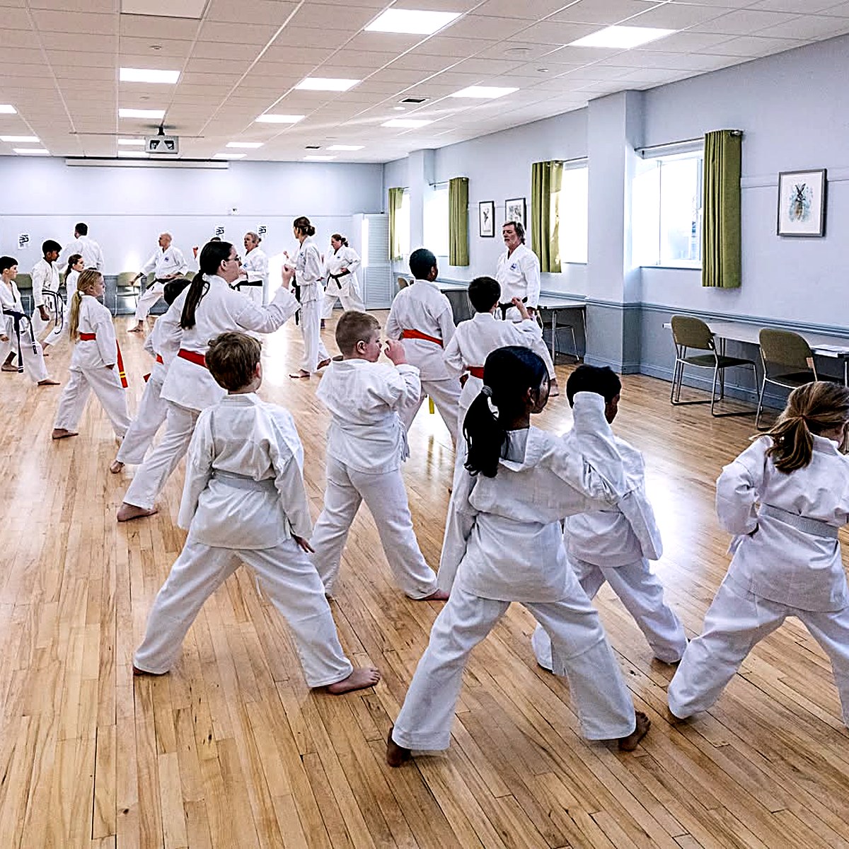 Kazoku Shotokan Karate